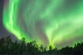 Rovaniemi: Insider Northern lights trip for families