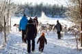 Reindeer farm visit