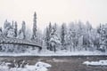 Arctic Family Nature Hike with Picnic