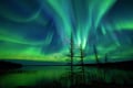 Private Northern Lights Experience Levi