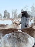 Reindeer & Ice Fishing Adventure with Lunch - A True Lapland Day