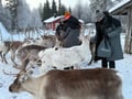 Reindeer & Ice Fishing Adventure with Lunch - A True Lapland Day