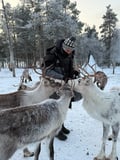 Reindeer & Ice Fishing Adventure with Lunch - A True Lapland Day