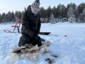 Reindeer & Ice Fishing Adventure with Lunch - A True Lapland Day