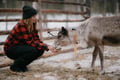 Reindeer & Ice Fishing Adventure with Lunch - A True Lapland Day