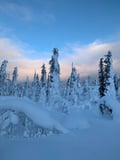 Reindeer & Ice Fishing Adventure with Lunch - A True Lapland Day