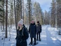 Rovaniemi: Snowshoe Tour in Vikaköngäs Wilderness & BBQ - Small Group