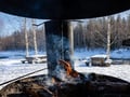 Rovaniemi: Snowshoe Tour in Vikaköngäs Wilderness & BBQ - Small Group