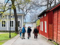 Private Raasepori Castle Ruins & Ekenäs Old Town tour with Pizza Tasting