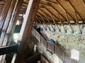 Private Raasepori Castle Ruins & Ekenäs Old Town tour with Pizza Tasting