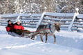 Highlights of Your Arctic Journey