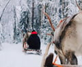 Highlights of Your Arctic Journey