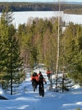 Electric Fat Biking at a Reindeer Farm in Rovaniemi