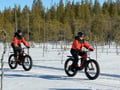 Electric Fat Biking at a Reindeer Farm in Rovaniemi