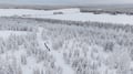 Electric Fat Biking at a Reindeer Farm in Rovaniemi