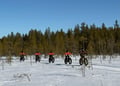 Electric Fat Biking at a Reindeer Farm in Rovaniemi
