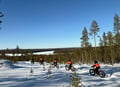 Electric Fat Biking at a Reindeer Farm in Rovaniemi
