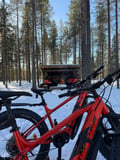 Electric Fat Biking at a Reindeer Farm in Rovaniemi