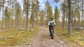 Electric Fat Biking at a Reindeer Farm in Rovaniemi