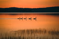 Magical summer evening in Rovaniemi