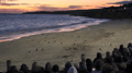 Philip Island — Penguin Parade Private Tour