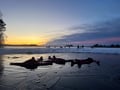 Arctic Ice Floating