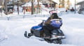 Family Snowmobile Safari