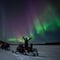 Private Arctic Evening Snowmobile Safari