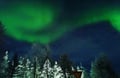 Private Arctic Evening Snowmobile Safari