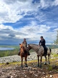 Small group horseback riding to Soutaja fell 2h