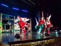 Santa Claus Village & Santa Park Day Trip with Lunch, from Levi
