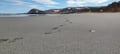 Arctic Ocean tours: Sandfjorden nature reserve (guided full-day tour from Utsjoki)