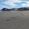 Arctic Ocean tours: Sandfjorden nature reserve (guided full-day tour from Utsjoki)