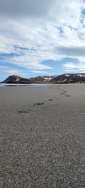 Arctic Ocean tours: Sandfjorden nature reserve (guided full-day tour from Utsjoki)