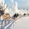 3km Reindeer safari and Traditional Lunch in the Farm