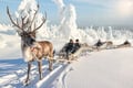 Rovaniemi Reindeer Safari & Ice Fishing Experience