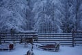Rovaniemi Reindeer Safari & Ice Fishing Experience