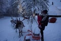 Rovaniemi Reindeer Safari & Ice Fishing Experience