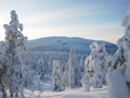 Levi Summit Snowmobile safari - for adults single drivers only