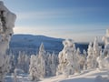 Levi Summit Snowmobile safari - for adults single drivers only