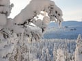Levi Summit Snowmobile safari - for adults single drivers only