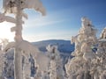 Levi Summit Snowmobile safari - for adults single drivers only
