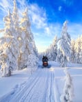 First Tracks — Morning Snowmobile Tour from Sinettä, Rovaniemi (3h, small group)