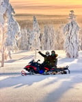 First Tracks — Morning Snowmobile Tour from Sinettä, Rovaniemi (3h, small group)