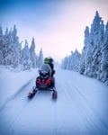 First Tracks — Morning Snowmobile Tour from Sinettä, Rovaniemi (3h, small group)
