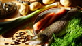 MASTER CLASS: SALMON SOUP