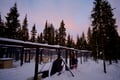 A husky Self-Drive Sledge (5km), Levi
