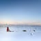 A husky Self-Drive Sledge (5km), Levi