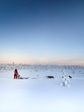 Begin Your Arctic Escape