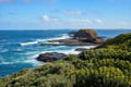 Phillip Island Nature Parks PENGUIN Parade PRIVATE hotel pickup for GYG